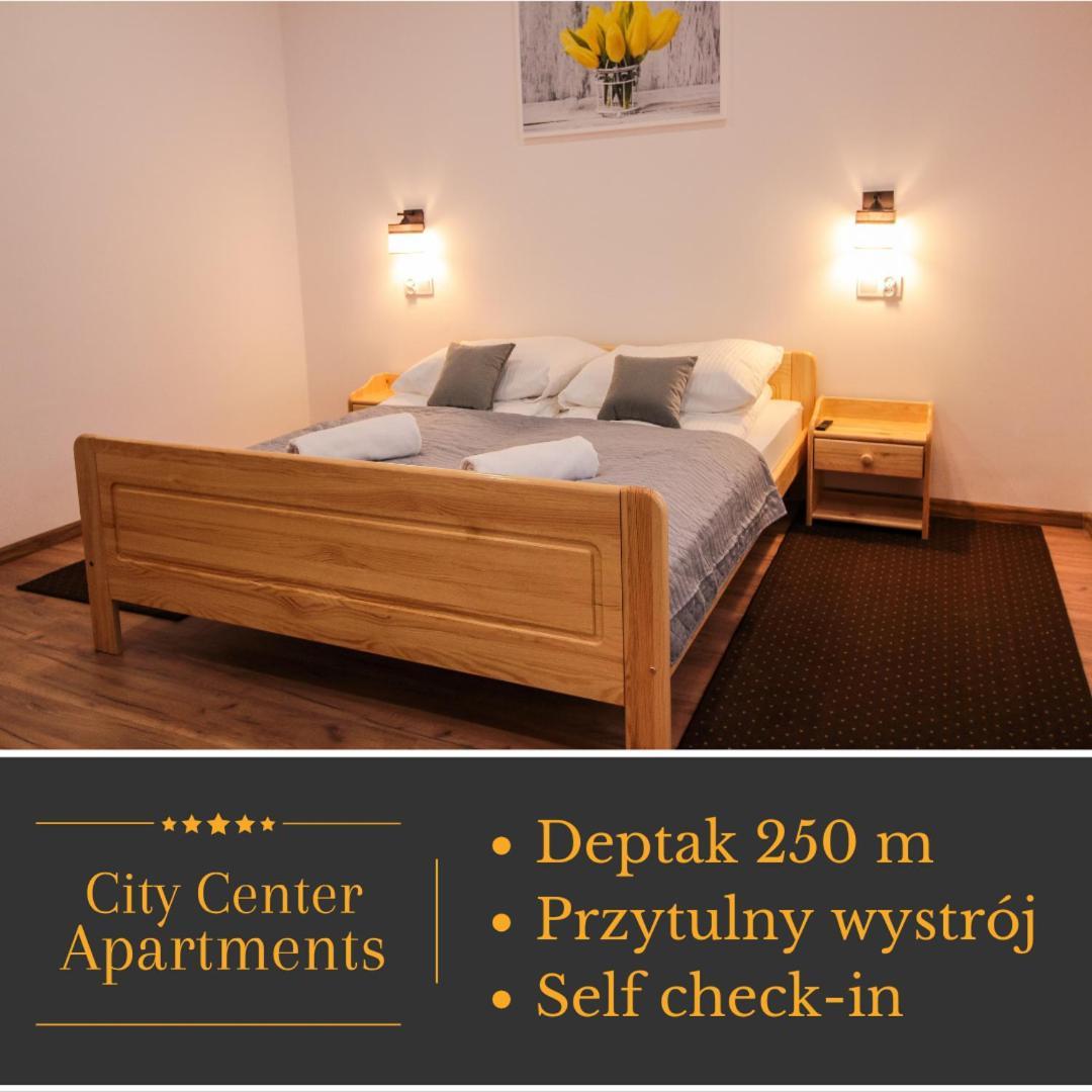 Apartament City Center Standard 3 Krynica Zdroj Eksteriør billede